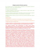 Inteligencia práctica (Animales superiores)