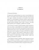 Es la aplicación del conjunto de principios leyes, criterios y normas formuladas