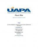 Los usos pedagógicos y didácticos de los recursos y aplicaciones informáticas