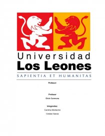 Organizacional de la industria de jugos naturales. Página 1