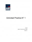 Actividad Practica N° 1 Empresa Quesos Peralillo