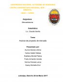 Informe ing de metodos.Avance de proyecto de mercado