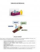 Estudio de revision de base de datos