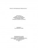 PROYECTO REFRIGERADOR TERMOACÚSTICO