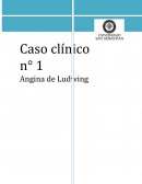 Caso clínico n° 1 Angina de Ludwing