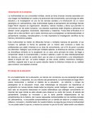 Proyecto. La multiversidad es una universidad múltiple