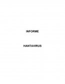 INFORME HANTAVIRUS