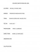 UN ENSAYO ACERCA DEL PALEOLITICO.