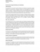 Derechos de los Grupos Prioritarios en la constitución