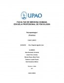 Trastorno disocial caso clinico, historia clinica