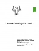 Nadro, S. A. P. I. de C.V.