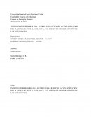 Implementando bebederos en la UNPHU: Mejorando la salud y el medio ambiente