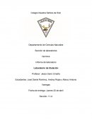 Laboratorio de Titulación - Química