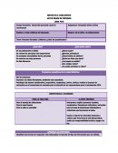 COMO PLANEAR EL PROYECTO PARLAMENTO DE LAS NIÑAS Y LOS NIÑOS.