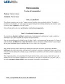 Microeconomía - Teoria del consumidor