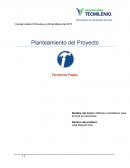 Cuales son los Metodos de investigacion, ensayo