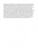 Clonacion del futuro