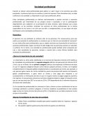 Sociedad profesional