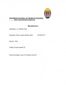 Ensayo Marketing sustentable, ética y responsabilidad social