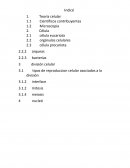 Cual es la gran Monografia fundamentos