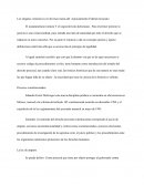 Los alegatos conclusivos en diversas ramas del enjuiciamiento Federal mexicano