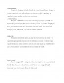 Cuales son las nuevas Ciencias Sociales