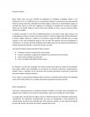 Trabajo final plan de marketing online