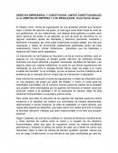 DERECHO EMPRESARIAL Y CONSTITUCION: LIMITES CONSTITUCIONALES A LA LIBERTAD DE EMPRESA Y A SU REGULACION