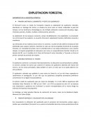El ferrocarril como un medio de transporte requería la explotación de quebracho colorado, abundante en Santiago del Estero, su madera tan dura como un metal