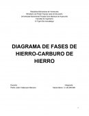 EL NUEVO DIAGRAMA DE FASES DE HIERRO-CARBURO DE HIERRO