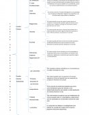 Cuadro sinoptico del derecho administrativo