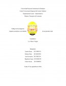 Impacto económico en la familia de un paciente renal