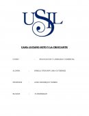 ANALISIS CASO: “LUCIANO SOTO Y LA CROCCANTE”