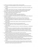 ¿Cuáles son las características de la goma sintética y la goma hinchable?