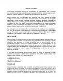 ENSAYO VENTAJA COMPETITIVA