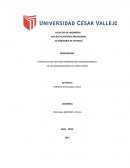 EFECTOS DE LOS SISTEMAS INFORMACIÓN TRANSACCIONALES