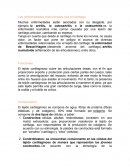 Las grandes enfermedades están asociadas con su desgaste, por ejemplo, la artritis, la osteoartritis o la osteoartritis es la enfermedad reumática