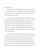 Revolución industrial - Reseña