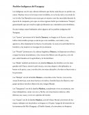 Los Pueblos Indígenas del Paraguay