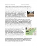 PACAYA SAMIRIA EN PROBLEMAS