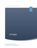 Disciplinas asociadas a la ecologia