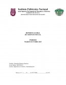 REPORTE GLOBAL DE SERVICIO SOCIAL