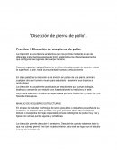 Diseccion de pierna de pollo