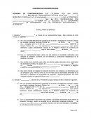 El Convenio de confidencialidad formato