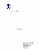 TIPOS DE CURATELAS. CURATELA DEL LOCO