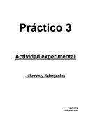 Cuales son los Jabones y detergentes