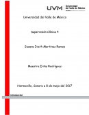 La supervisión clínica, estudio de caso