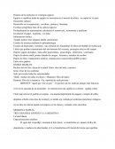 El Desarrollo en la arquitectura, escultura, pintura y literatura.