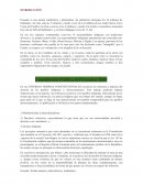 La Constitución Política del Ecuador 2008
