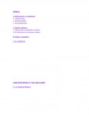 La inflamación intestinal causada por el gluten